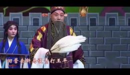 京剧《空城计》孟广禄孙丽英反串表演，经典戏曲在线下载下载