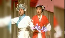 刘金定观星