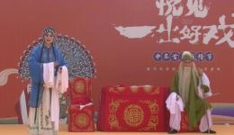 豫剧《卖苗郎》摔碗一折高清下载，李凤丽张树臣精彩演绎下载