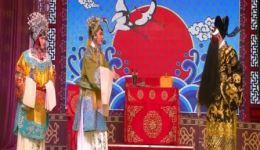 豫剧《包青天》全场戏资源下载，王健李小毛领衔主演经典剧目下载
