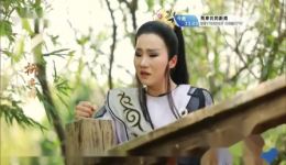 华洛歌仔戏《柳君拂》一叶知秋万念思(相思苦)全集下载 - 吴建华主演歌仔戏资源下载