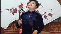 河南坠子徐延忠搬兵 第五部 第8集 - 戏曲下载网