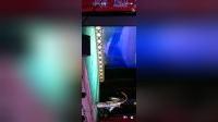 上党落子《九江口》戏曲视频MP4下载,经典剧目高清呈现 上党落子《九江口》戏曲视频MP4下载,经典剧目高清呈现