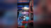 淮剧《打龙袍》全剧视频MP4下载 - 经典淮剧资源一键获取 淮剧《打龙袍》全剧视频MP4下载 - 经典淮剧资源一键获取