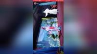 淮剧《三请樊梨花》上集高清mp4下载,经典戏曲资源一键获取 淮剧《三请樊梨花》上集高清mp4下载,经典戏曲资源一键获取