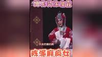 豫剧麻风女传奇