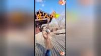 冯涛二人转《爹娘恩情还不够》深情演绎，孝道主题经典戏曲在线下载下载