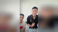 杨姑娘随礼难