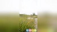 二人转短剧《后妈》上集在线观看，王喆陈凯精彩演绎，家庭情感大戏不容错过