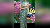 郑瑞霞演唱曲剧《朝阳沟》选段,经典戏曲资源在线下载 郑瑞霞演唱曲剧《朝阳沟》选段,经典戏曲资源在线下载
