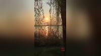 河南坠子《双孝廉》经典孝道故事在线下载，感受传统戏曲文化魅力