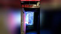 淮剧《牙痕记》全剧下载 - 兴化市华洋淮剧艺术团经典演绎