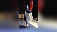 滑县乐腔经典剧目全集下载，领略地道民间戏曲韵味
