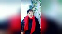 河南坠子《大实话》胡银花演唱，名段mp4/mp3资源下载，经典戏曲音频视频下载