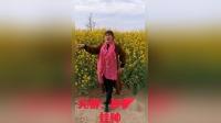 宛梆《穆桂英挂帅》选段下载 徐强华演唱 穆桂英戏曲mp3/mp4资源