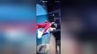 港城雷剧团经典雷剧《狸猫换太子》在线观看下载，高清戏曲资源一键获取