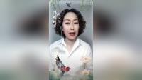 河北梆子《窦娥冤》在线观看，国家一级演员王琳精彩演绎，经典戏曲高清下载