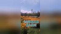 清风亭奴才全将良心丧