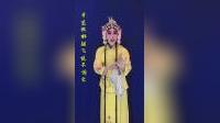 楚剧《蔡鸣凤》选段“回黄州”在线观看下载 - 经典戏曲资源平台 楚剧《蔡鸣凤》选段“回黄州”在线观看下载 - 经典戏曲资源平台