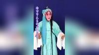 楚剧《赵玉珍》选段在线下载周萍阶李家汉精彩演绎装疯名段