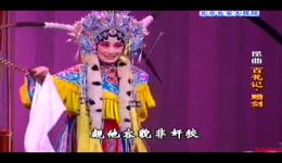 昆曲经典《百花记》赠剑选段，侯爽晖王振义精彩演绎，不容错过的戏曲盛宴下载